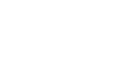 FEICO Logo